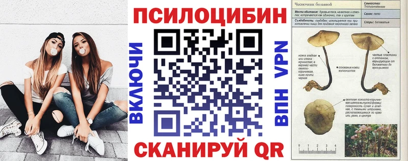 Галлюциногенные грибы Psilocybine cubensis  Среднеуральск 